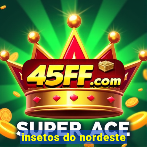 insetos do nordeste